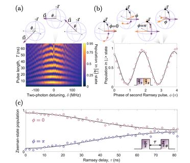 Optical spin locking of a solid-state qubit