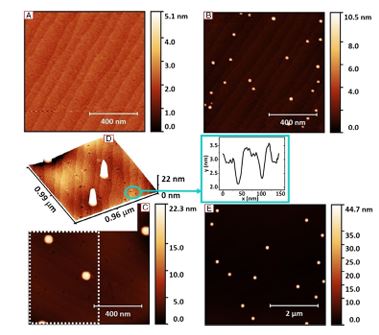 InAs/InP Quantum Dots in Etched Pits by Droplet Epitaxy in Metalorganic Vapor Phase Epitaxy
