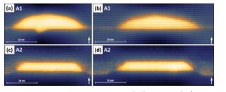 Control of Morphology and Substrate Etching in InAs/InP Droplet Epitaxy Quantum Dots for Single and Entangled Photon Emitters