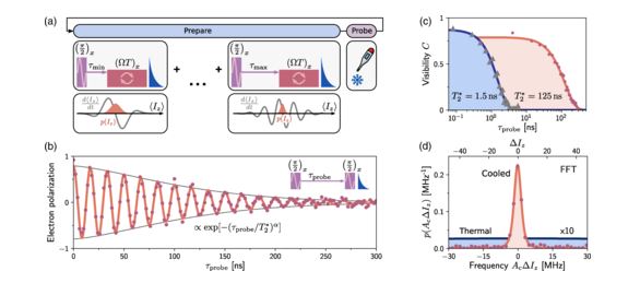 Optimal Purification of a Spin Ensemble by Quantum-Algorithmic Feedback