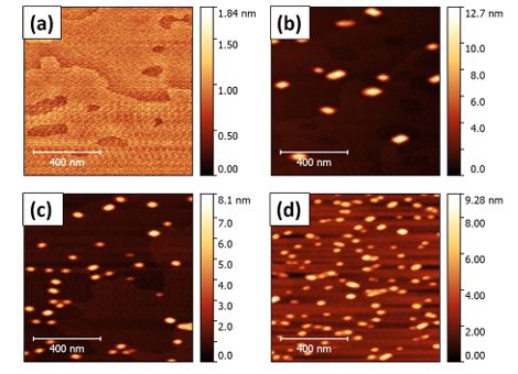 Droplet epitaxy of InAs/InP quantum dots via MOVPE by using an InGaAs interlayer