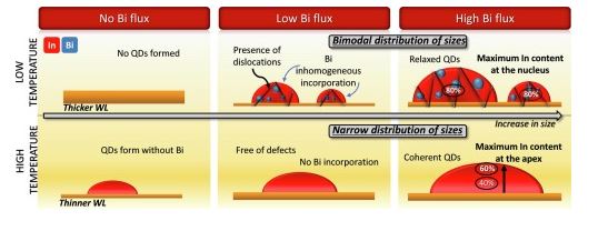 Exploring the formation of InAs(Bi)/GaAs QDs at two growth-temperature regimes under different Bi supply conditions.