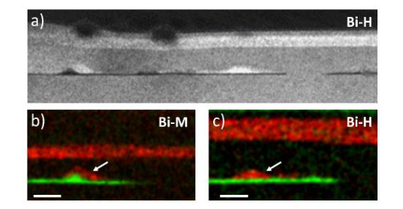Exploring the Implementation of GaAsBi Alloys as Strain-Reducing Layers in InAs/GaAs Quantum Dots