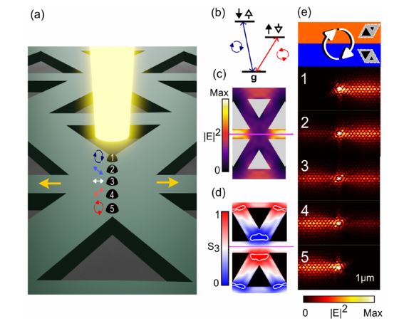 Topological and conventional nanophotonic waveguides for directional integrated quantum optics