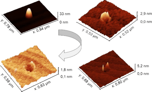 Local Droplet Etching with Indium Droplets on InP(100) by Metal-Organic Vapor Phase Epitaxy